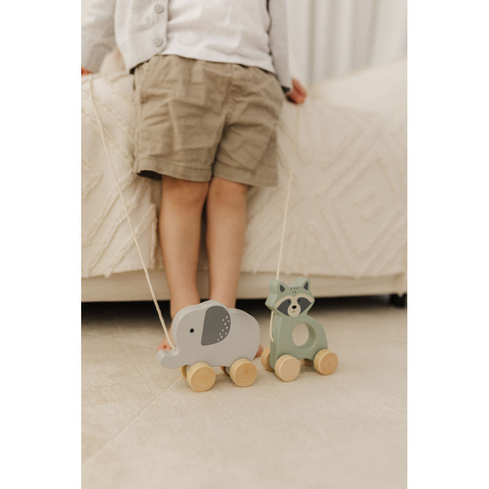 Bubble Wooden Elephant Pull Along Toy