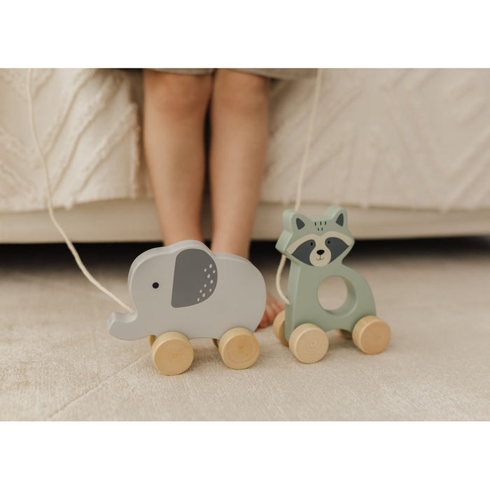 Bubble Wooden Raccoon Pull Along Toy