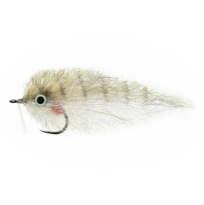 EP Pinfish