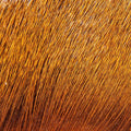 Premo Deer Hair Strip