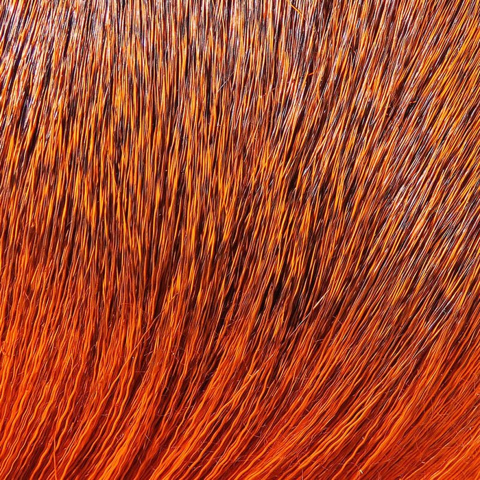 Premo Deer Hair Strip