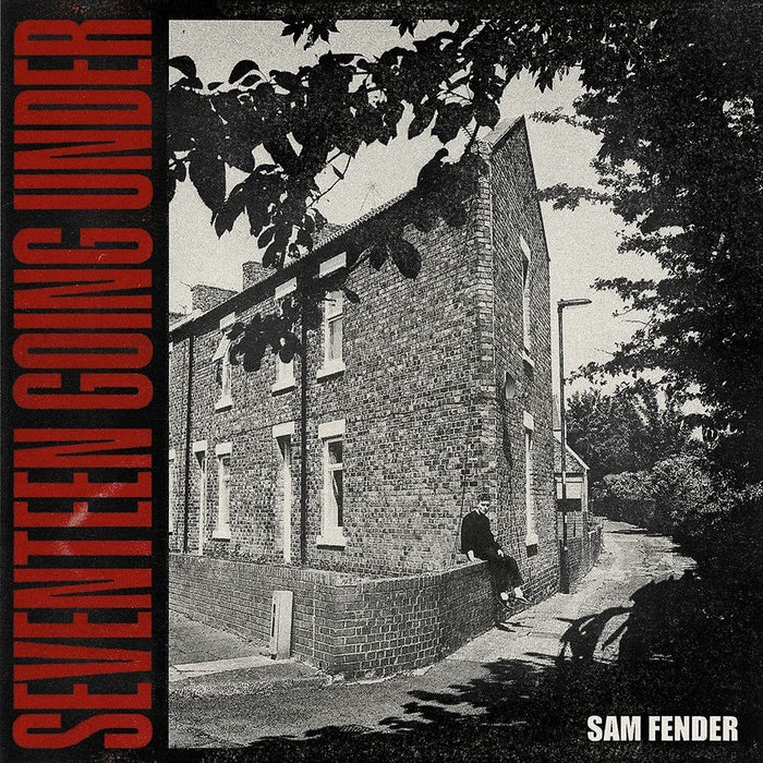 Sam Fender - Seventeen Going Under - LP - Vinyl