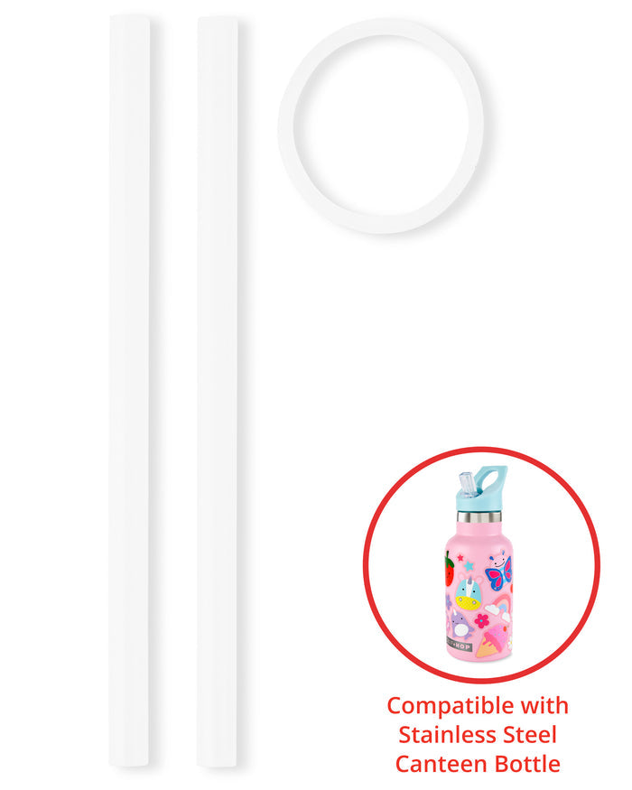 Skip Hop Canteen Bottles Extra Straws 2pk
