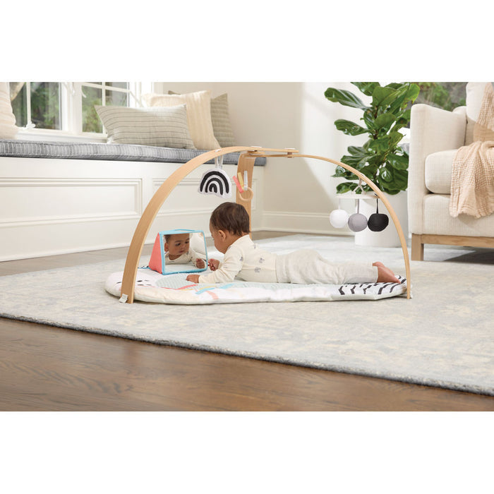 Skip Hop Discoverosity Activity Gym