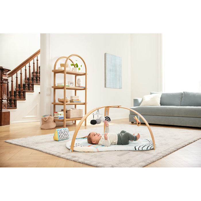 Skip Hop Discoverosity Activity Gym