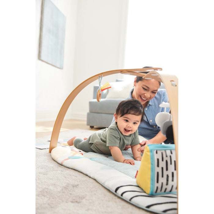 Skip Hop Discoverosity Activity Gym