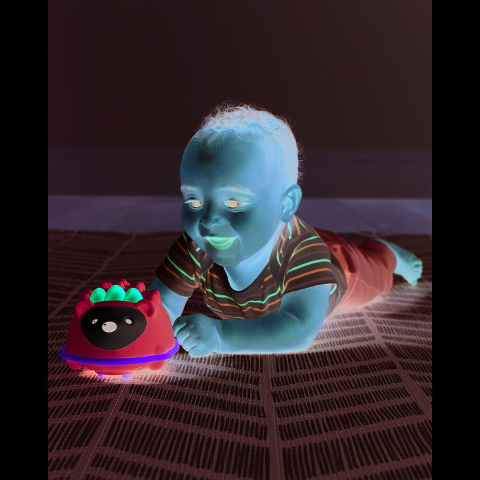 25449780