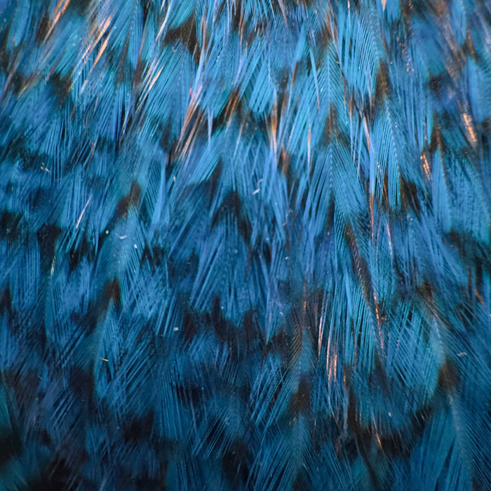 Grizzly Dyed Kingfisher Blue